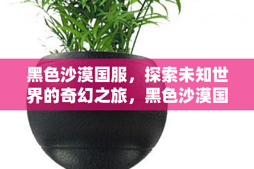 黑色沙漠国服,探索未知世界的奇幻之旅,黑色沙漠国服,奇幻之旅探索未知世界 黑色沙漠国服,探索未知世界的奇幻之旅,黑色沙漠国服,奇幻之旅探索未知世界