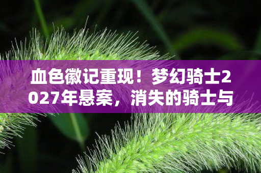 血色徽记重现!梦幻骑士2027年悬案,消失的骑士与毛骨悚然的诅咒轮回 血色徽记重现!梦幻骑士2027年悬案,消失的骑士与毛骨悚然的诅咒轮回