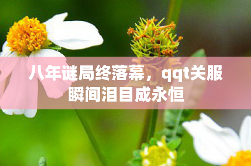 八年谜局终落幕，qqt关服瞬间泪目成永恒