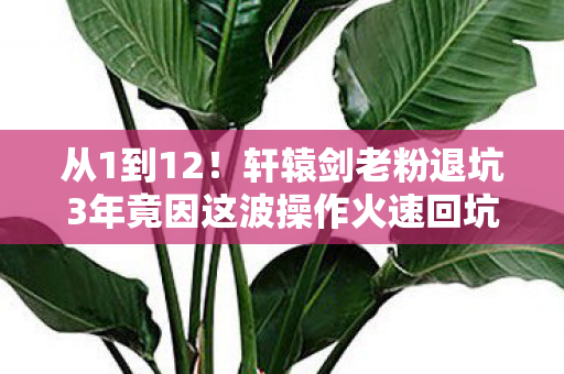 从1到12!轩辕剑老粉退坑3年竟因这波操作火速回坑? 从1到12!轩辕剑老粉退坑3年竟因这波操作火速回坑?