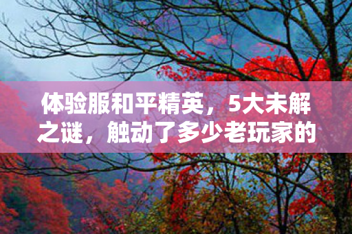 体验服和平精英，5大未解之谜，触动了多少老玩家的心弦？