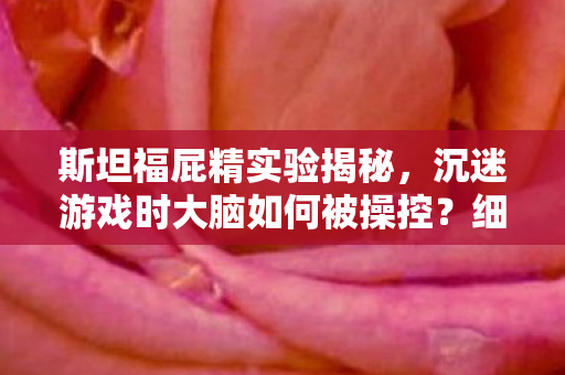 斯坦福屁精实验揭秘,沉迷游戏时大脑如何被操控?细思极恐! 斯坦福屁精实验揭秘,沉迷游戏时大脑如何被操控?细思极恐!