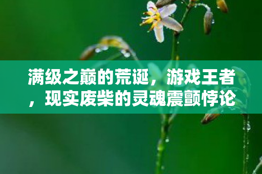 满级之巅的荒诞,游戏王者,现实废柴的灵魂震颤悖论 满级之巅的荒诞,游戏王者,现实废柴的灵魂震颤悖论