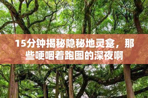 15分钟揭秘隐秘地灵龛,那些哽咽着跑图的深夜啊 15分钟揭秘隐秘地灵龛,那些哽咽着跑图的深夜啊
