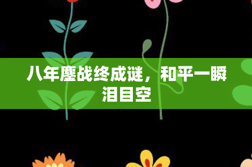 八年鏖战终成谜,和平一瞬泪目空 八年鏖战终成谜,和平一瞬泪目空