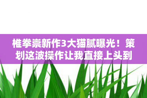 椎拳崇新作3大猫腻曝光!策划这波操作让我直接上头到卸载 椎拳崇新作3大猫腻曝光!策划这波操作让我直接上头到卸载