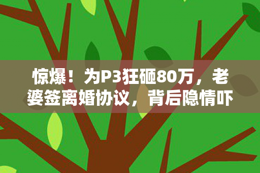 惊爆!为P3狂砸80万,老婆签离婚协议,背后隐情吓你一跳! 惊爆!为P3狂砸80万,老婆签离婚协议,背后隐情吓你一跳!