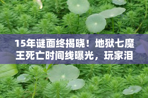 15年谜面终揭晓!地狱七魔王死亡时间线曝光,玩家泪目 15年谜面终揭晓!地狱七魔王死亡时间线曝光,玩家泪目