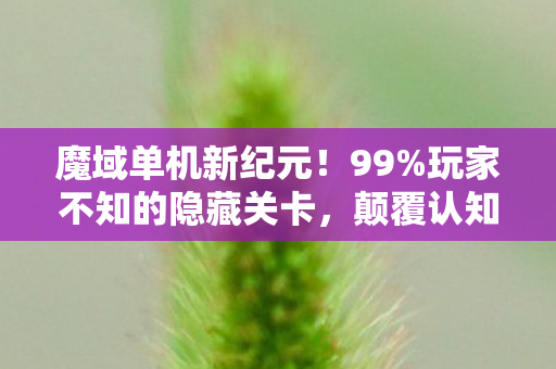 魔域单机新纪元!99%玩家不知的隐藏关卡,颠覆认知的狂欢! 魔域单机新纪元!99%玩家不知的隐藏关卡,颠覆认知的狂欢!