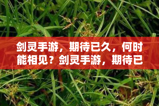 何时能相见图片