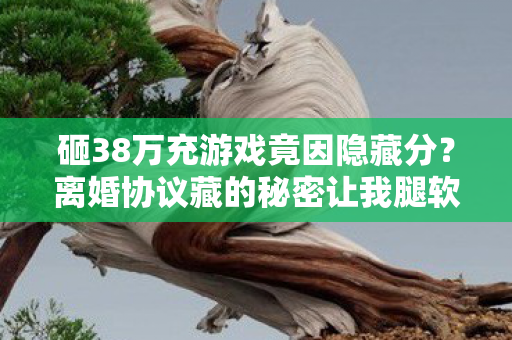 砸38万充游戏竟因隐藏分?离婚协议藏的秘密让我腿软! 砸38万充游戏竟因隐藏分?离婚协议藏的秘密让我腿软!