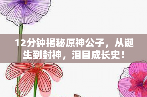 12分钟揭秘原神公子,从诞生到封神,泪目成长史! 12分钟揭秘原神公子,从诞生到封神,泪目成长史!