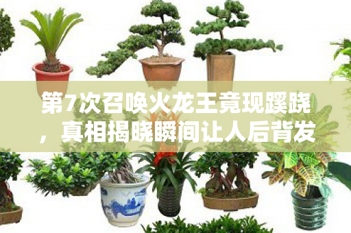 第7次召唤火龙王竟现蹊跷,真相揭晓瞬间让人后背发凉! 第7次召唤火龙王竟现蹊跷,真相揭晓瞬间让人后背发凉!