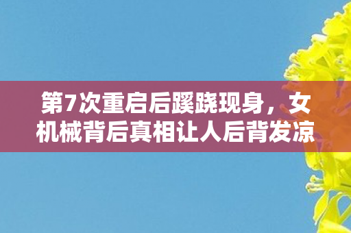 第7次重启后蹊跷现身,女机械背后真相让人后背发凉! 第7次重启后蹊跷现身,女机械背后真相让人后背发凉!