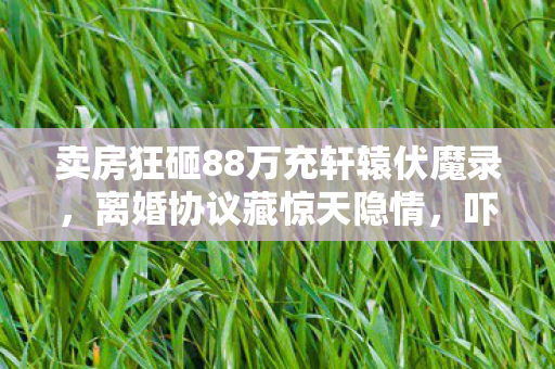 卖房狂砸88万充轩辕伏魔录，离婚协议藏惊天隐情，吓你一跳！