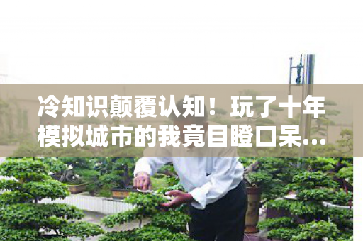 冷知识颠覆认知!玩了十年模拟城市的我竟目瞪口呆…… 冷知识颠覆认知!玩了十年模拟城市的我竟目瞪口呆……