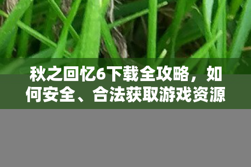 秋之回忆6下载全攻略,如何安全、合法获取游戏资源,秋之回忆6下载全攻略,安全合法获取游戏资源 秋之回忆6下载全攻略,如何安全、合法获取游戏资源,秋之回忆6下载全攻略,安全合法获取游戏资源