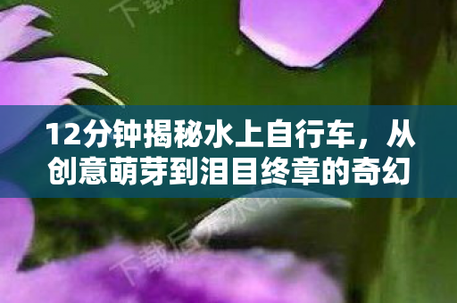12分钟揭秘水上自行车,从创意萌芽到泪目终章的奇幻漂流 12分钟揭秘水上自行车,从创意萌芽到泪目终章的奇幻漂流