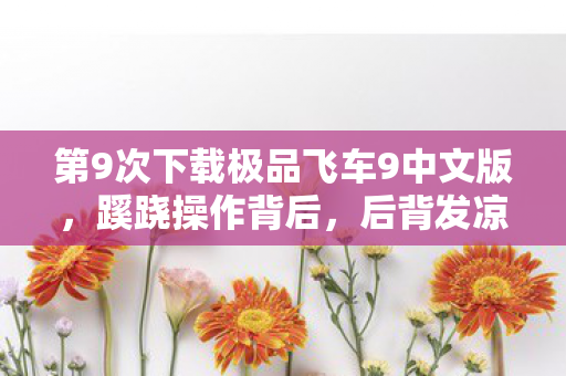 第9次下载极品飞车9中文版，蹊跷操作背后，后背发凉真相浮现！