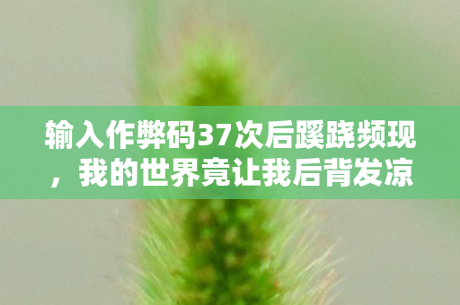 输入作弊码37次后蹊跷频现，我的世界竟让我后背发凉！