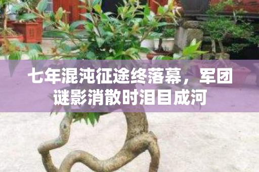 七年混沌征途终落幕,军团谜影消散时泪目成河 七年混沌征途终落幕,军团谜影消散时泪目成河