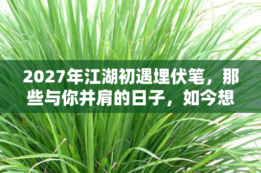 2027年江湖初遇埋伏笔,那些与你并肩的日子,如今想起鼻子一酸 2027年江湖初遇埋伏笔,那些与你并肩的日子,如今想起鼻子一酸