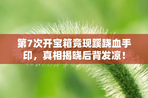 第7次开宝箱竟现蹊跷血手印,真相揭晓后背发凉! 第7次开宝箱竟现蹊跷血手印,真相揭晓后背发凉!