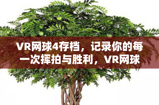 VR网球4存档,记录你的每一次挥拍与胜利,VR网球4存档,记录你的每一次挥拍与胜利 VR网球4存档,记录你的每一次挥拍与胜利,VR网球4存档,记录你的每一次挥拍与胜利