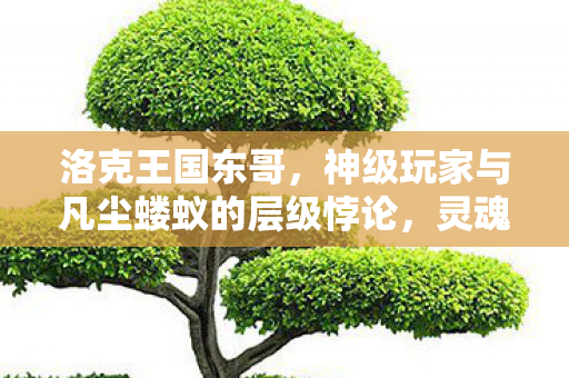洛克王国东哥,神级玩家与凡尘蝼蚁的层级悖论,灵魂震颤的自由之问 洛克王国东哥,神级玩家与凡尘蝼蚁的层级悖论,灵魂震颤的自由之问