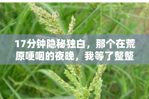 17分钟隐秘独白，那个在荒原哽咽的夜晚，我等了整整五年