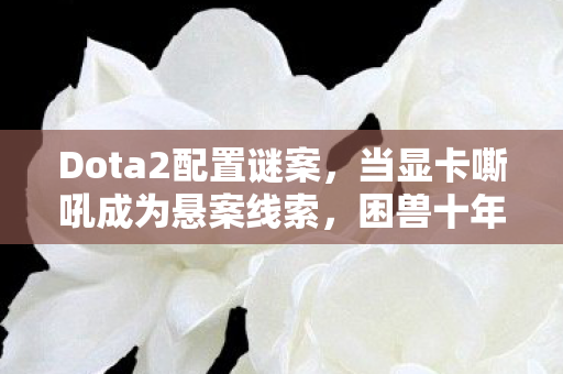 Dota2配置谜案,当显卡嘶吼成为悬案线索,困兽十年竟是自缚 Dota2配置谜案,当显卡嘶吼成为悬案线索,困兽十年竟是自缚