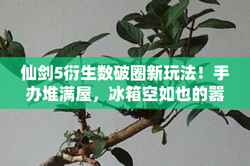 仙剑5衍生数破圈新玩法!手办堆满屋,冰箱空如也的嚣张人生 仙剑5衍生数破圈新玩法!手办堆满屋,冰箱空如也的嚣张人生