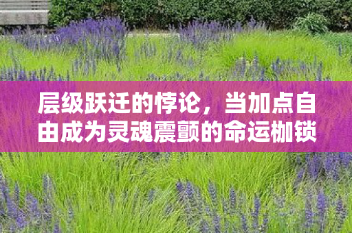 层级跃迁的悖论，当加点自由成为灵魂震颤的命运枷锁