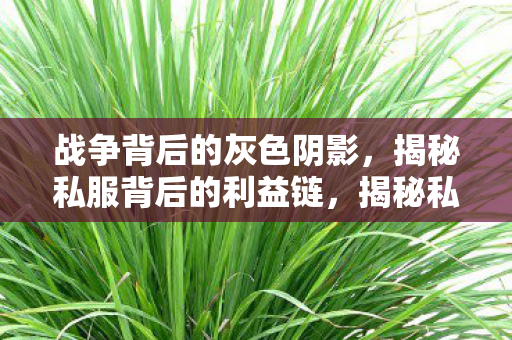 战争背后的灰色阴影,揭秘私服背后的利益链,揭秘私服背后的灰色利益链,战争背后的阴影 战争背后的灰色阴影,揭秘私服背后的利益链,揭秘私服背后的灰色利益链,战争背后的阴影