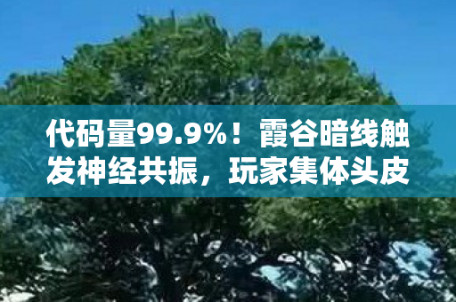代码量99.9%!霞谷暗线触发神经共振,玩家集体头皮发麻 代码量99.9%!霞谷暗线触发神经共振,玩家集体头皮发麻