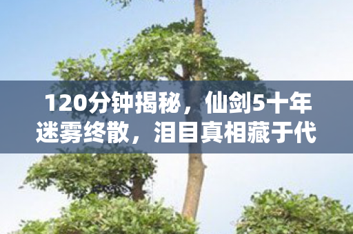 120分钟揭秘,仙剑5十年迷雾终散,泪目真相藏于代码深处 120分钟揭秘,仙剑5十年迷雾终散,泪目真相藏于代码深处