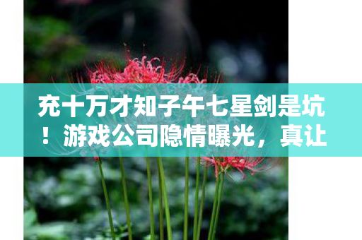 充十万才知子午七星剑是坑!游戏公司隐情曝光,真让人吓一跳! 充十万才知子午七星剑是坑!游戏公司隐情曝光,真让人吓一跳!