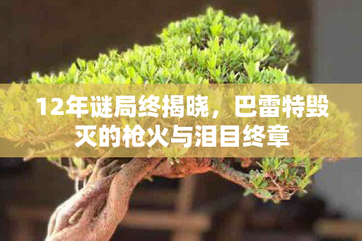12年谜局终揭晓,巴雷特毁灭的枪火与泪目终章 12年谜局终揭晓,巴雷特毁灭的枪火与泪目终章