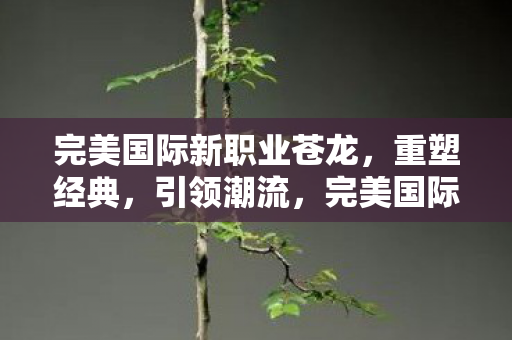 完美国际新职业苍龙，重塑经典，引领潮流，完美国际新职业苍龙，重塑经典，引领潮流