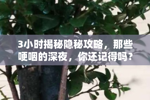 3小时揭秘隐秘攻略,那些哽咽的深夜,你还记得吗? 3小时揭秘隐秘攻略,那些哽咽的深夜,你还记得吗?