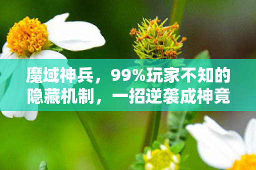 魔域神兵，99%玩家不知的隐藏机制，一招逆袭成神竟如此简单？