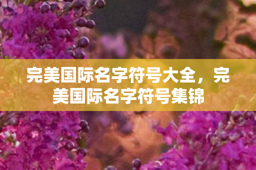 完美国际名字符号大全，完美国际名字符号集锦