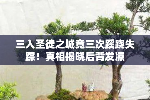 三入圣徒之城竟三次蹊跷失踪!真相揭晓后背发凉 三入圣徒之城竟三次蹊跷失踪!真相揭晓后背发凉