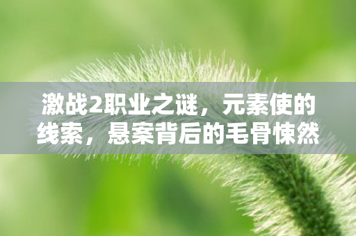 激战2职业之谜,元素使的线索,悬案背后的毛骨悚然真相 激战2职业之谜,元素使的线索,悬案背后的毛骨悚然真相