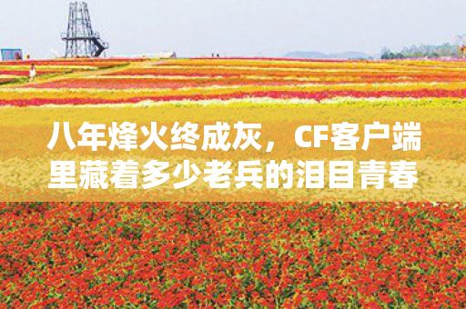 八年烽火终成灰,CF客户端里藏着多少老兵的泪目青春? 八年烽火终成灰,CF客户端里藏着多少老兵的泪目青春?