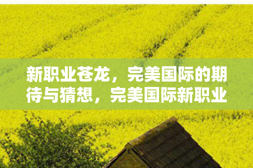 新职业苍龙，完美国际的期待与猜想，完美国际新职业苍龙，期待与猜想