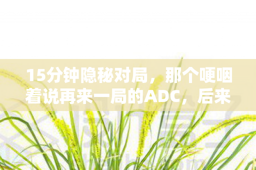 15分钟隐秘对局,那个哽咽着说再来一局的ADC,后来去哪了? 15分钟隐秘对局,那个哽咽着说再来一局的ADC,后来去哪了?