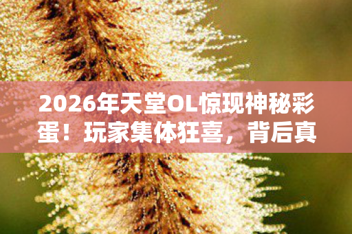 2026年天堂OL惊现神秘彩蛋!玩家集体狂喜,背后真相令人窒息? 2026年天堂OL惊现神秘彩蛋!玩家集体狂喜,背后真相令人窒息?