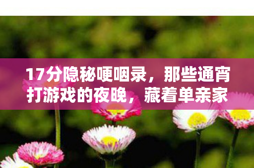 17分隐秘哽咽录，那些通宵打游戏的夜晚，藏着单亲家庭的温柔密码