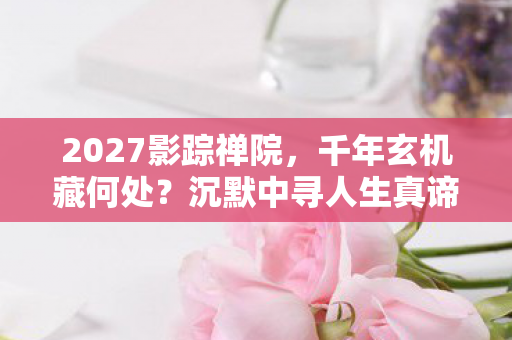 2027影踪禅院,千年玄机藏何处?沉默中寻人生真谛 2027影踪禅院,千年玄机藏何处?沉默中寻人生真谛